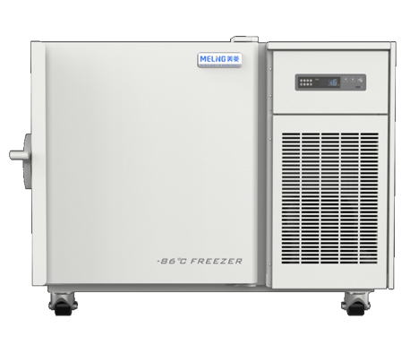 -86°C超低温冷冻储存箱DW-HL100